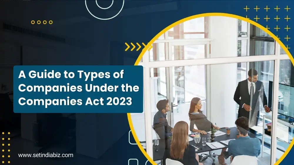 A Guide to Types of Companies Under the Companies Act 2023