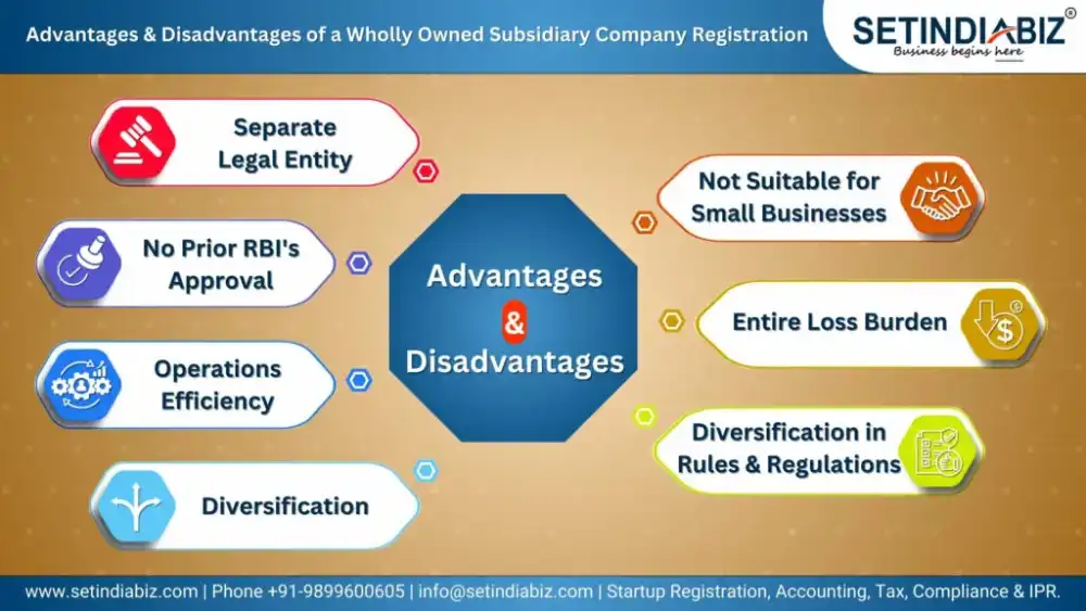 Advantages & Disadvantages of a Wholly Owned Subsidiary Company Registration