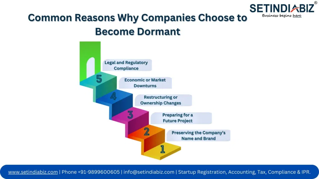 Common Reasons Why Companies Choose to Become Dormant