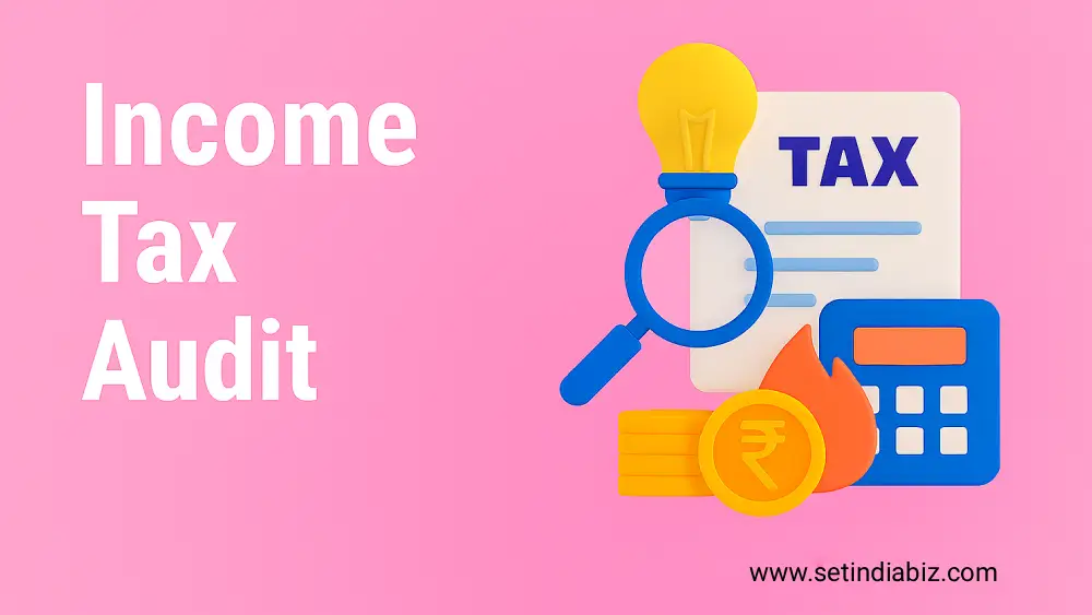 Income Tax Audit