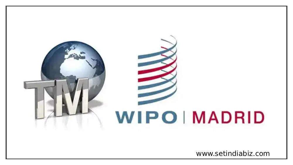 Madrid System Schedule fees