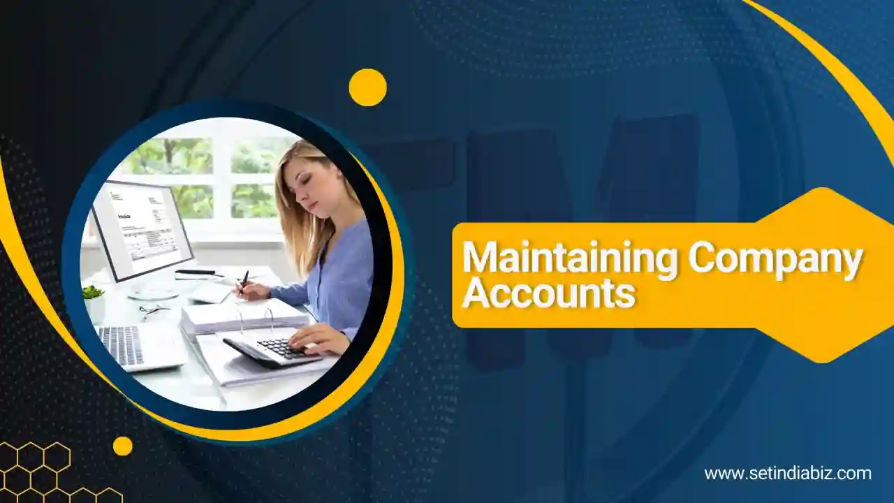 Maintaining Company Accounts