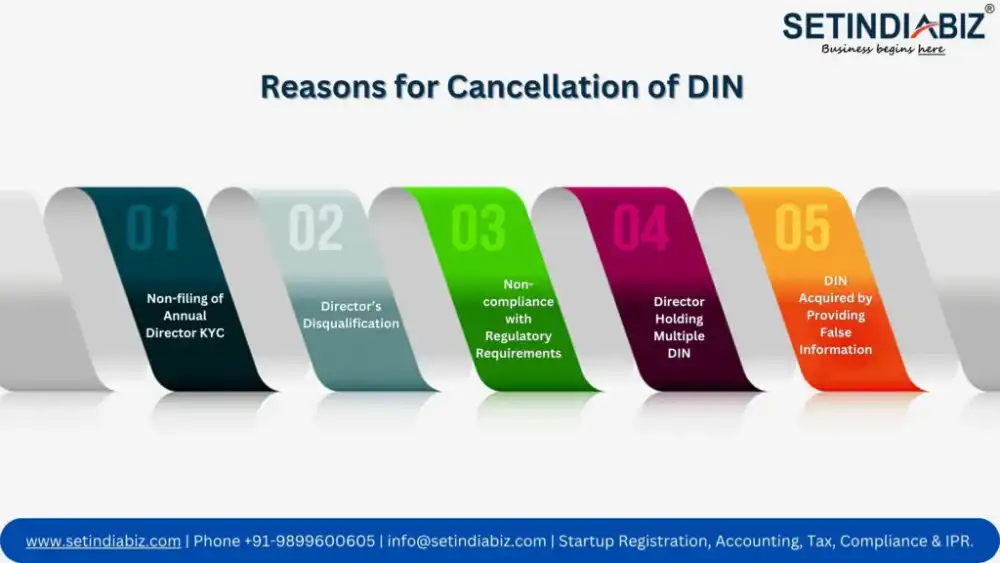 Reasons for Cancellation of DIN