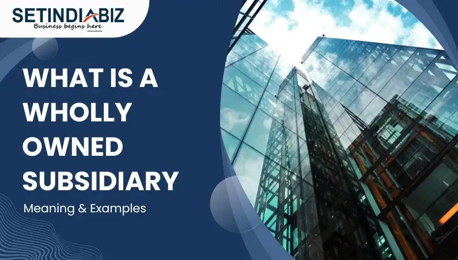 What is a Wholly owned subsidiary – Meaning & Examples