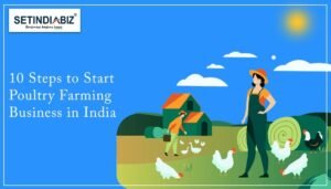 Start Poultry Farming Business in 10 simple legal Steps