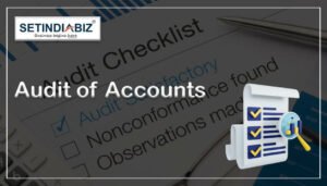 Audit of Accounts