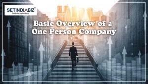 Overview of One Person Company