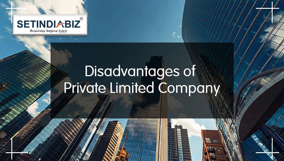 what are the disadvantages of private limited company?