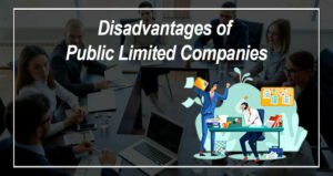 Disadvantages of Public Limited Companies