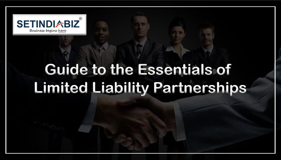 Essentials of Limited Liability Partnership Agreement