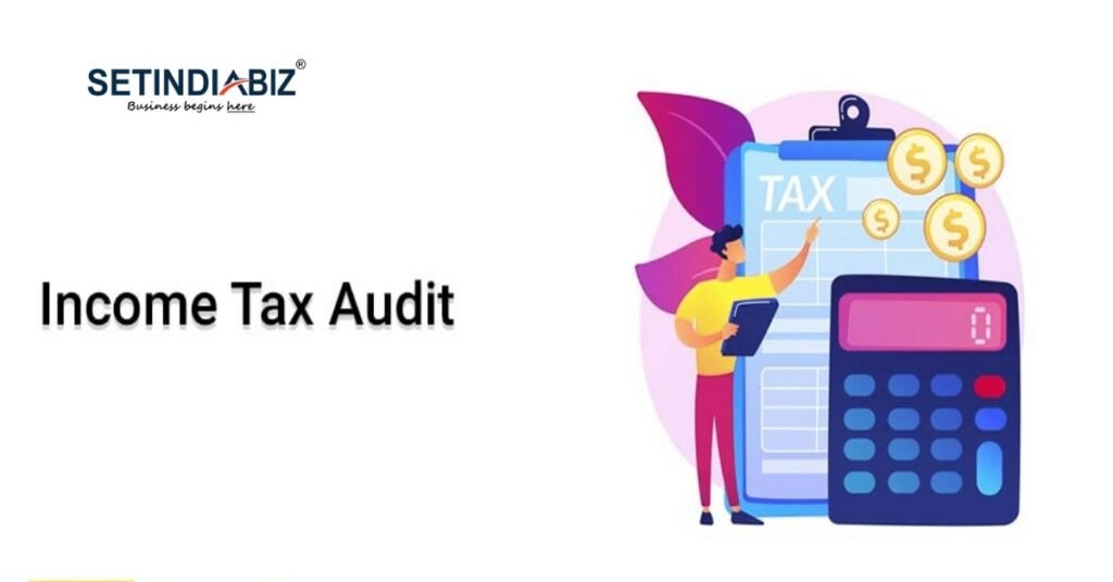 income tax audit