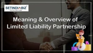 Definition of limited liability partnership