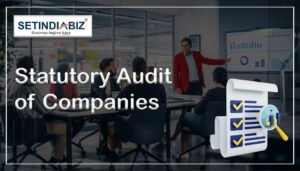 Statutory Audit of Companies - statutory audit under companies act, 2013