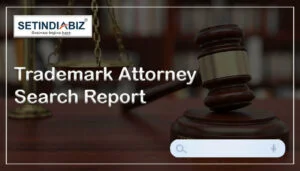 Trademark Attorney Search Report