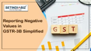 Reporting Negative Values in GSTR-3B Simplified - GST Portal Update